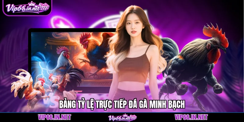 Bảng tỷ lệ trực tiếp đá gà minh bạch