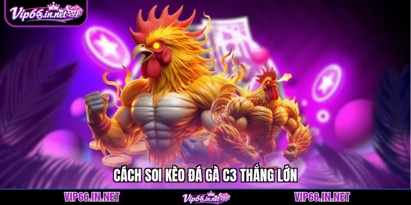 Cách soi kèo đá gà c3 thắng lớn