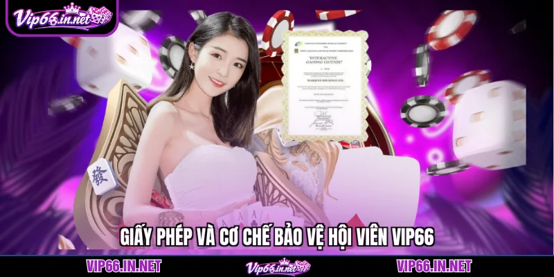 Giấy phép và cơ chế bảo vệ hội viên VIP66
