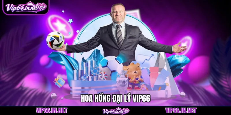 Hoa hồng đại lý VIP66