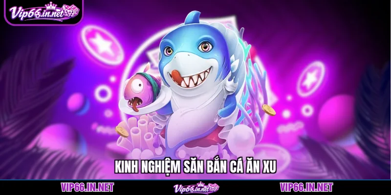 Kinh nghiệm săn bắn cá ăn xu