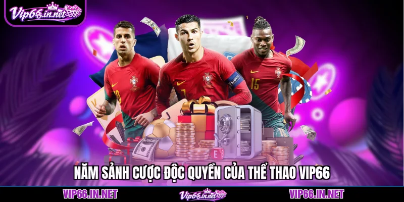 Năm sảnh cược độc quyền của thể thao VIP66