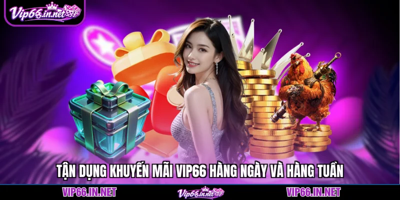Tận dụng khuyến mãi VIP66 hàng ngày và hàng tuần
